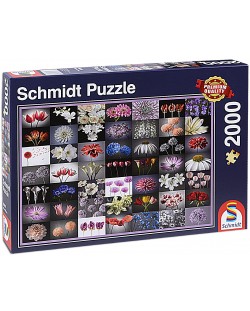 Puzzle Schmidt de 2000 piese - Salut colorat