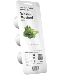 Semințe  Click and Grow - Muștar Wasabi, 3 rezerve