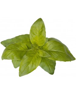 Semințe Click and Grow - Lime Basil, 3 rezerve
