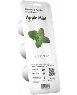 Semințe Click and Grow - Apple mint, 3 rezerve