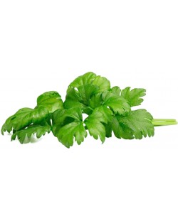 Semințe Click and Grow - Celery leaf, 3 rezerve