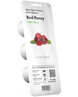 Semințe Click and Grow - Red pansy, 3 rezerve
