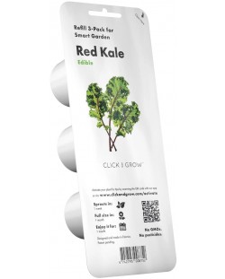 Semințe Click and Grow - Red kale, 3 rezerve
