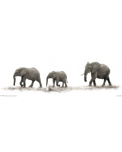 Poster slim Pyramid - Mario Moreno (The Elephants)