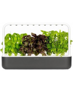 Smart ghiveci Click and Grow - Smart Garden 9, 13 W, gri