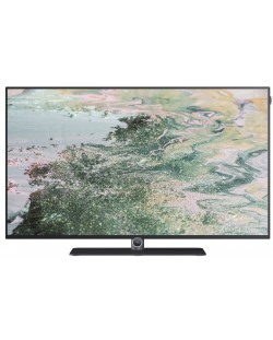 Smart televizor Loewe - Bild i.55 dr+, 55'', OLED, 4K, gri