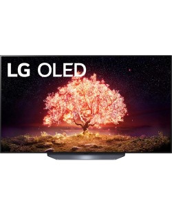 Televizor Smart LG - OLED55B13LA, 55", OLED, 4K, gri
