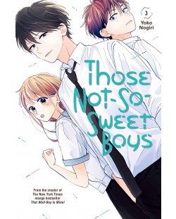 Those Not-So-Sweet Boys 3	