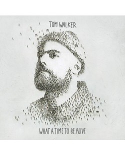 Tom Walker - What a Time To Be Alive (Vinyl)