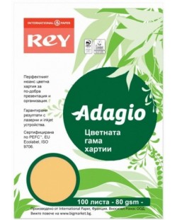 Hartie colorata pentru copiator Rey Adagio - Beige, A4, 80 g, 100 coli