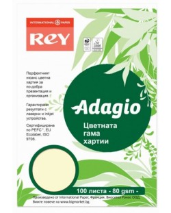 Hartie colorata pentru copiator Rey Adagio - Ivory 93, A4, 80 g, 100 coli