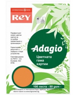 Hartie colorata pentru copiator Rey Adagio - Pumpkin, A4, 80 g, 100 coli