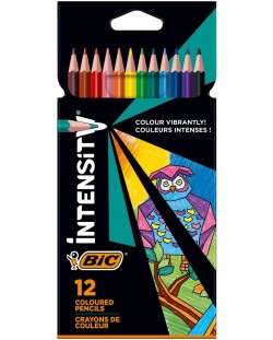 Creioane colorate BIC - Intensity, 12 culori