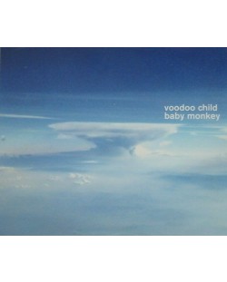 Voodoo Child - Baby Monkey (CD)