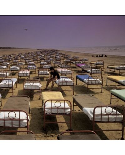 Pink Floyd - A Momentary Lapse Of Reason, Remastered (CD)	 - 1