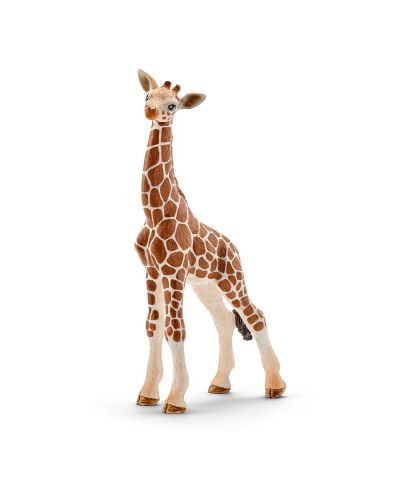Figurina Schleich  Wild Life Africa - Girafa reticulata, pui - 1
