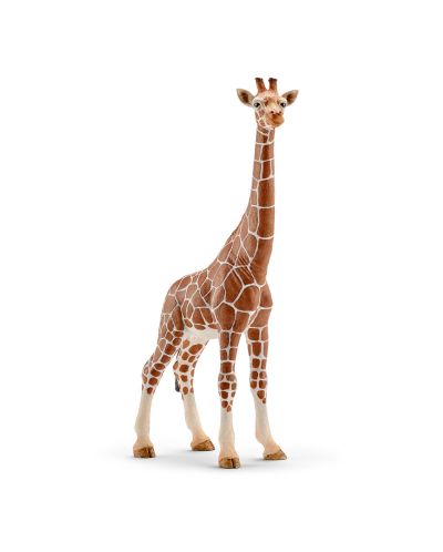 Figurina Schleich  Wild Life Africa - Girafa reticulata, femela - 1
