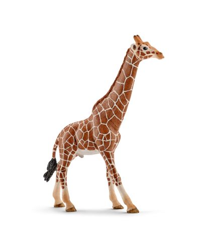 Figurina Schleich  Wild Life Africa - Girafa reticulata, mascul - 1