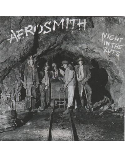 AEROSMITH - Night in the Ruts (CD) - 1