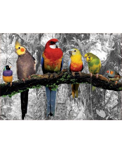 Puzzle Educa de 500 piese - Birds on the Jungle - 2