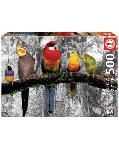 Puzzle Educa de 500 piese - Birds on the Jungle - 1