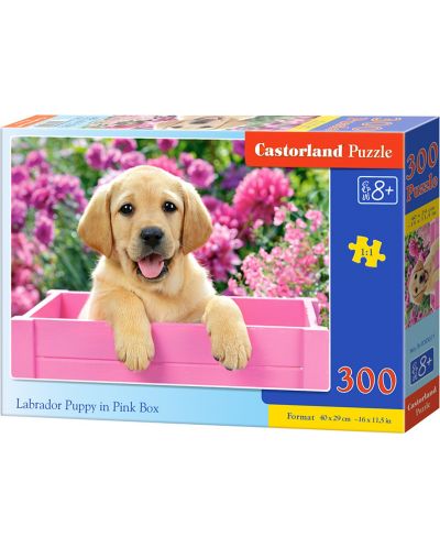 Puzzle Castorland de 300 piese - Labrador mic intr-o cutie roz - 1