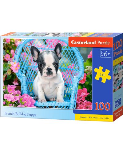 Puzzle Castorland de 100 piese - Catel Bulldog francez - 1