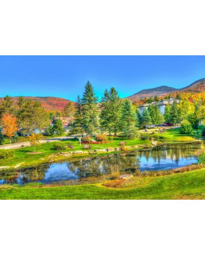 Puzzle Bluebird de 1000 piese - Stowe, Vermont SUA - 2
