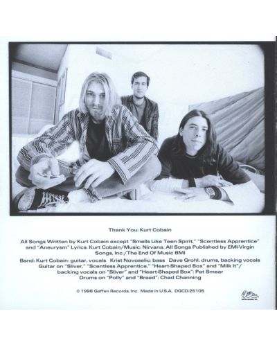 Nirvana - From The Muddy Banks of The Wishkah (CD) - 2