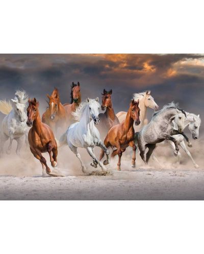 Puzzle Jumbo de 1000 piese - Desert Horses - 2