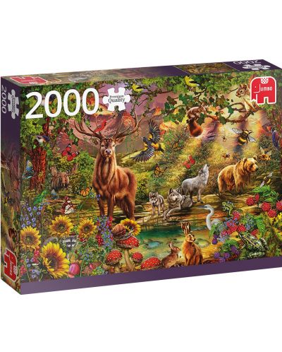 Puzzle Jumbo de 2000 piese - Magic Forest at Sunset - 1