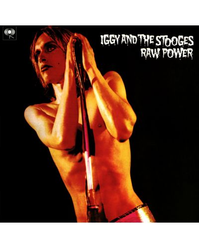 Iggy & the Stooges - Raw Power (2 Vinyl) - 1