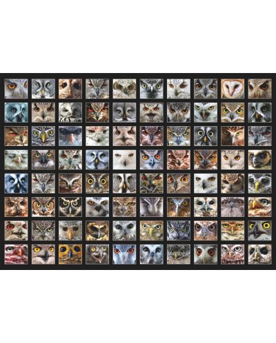 Puzzle D-Toys de 1000 piese - Fete de animale, Bufnite - 2