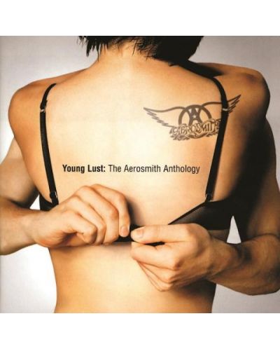 AEROSMITH - Young Lust: the Aerosmith Anthology (2 CD) - 1
