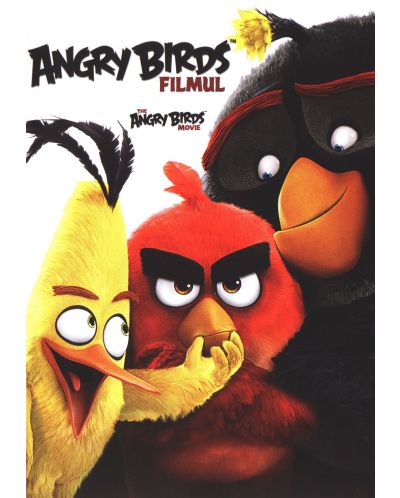 Angry Birds (DVD) - 1