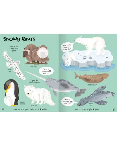 Animals Sticker Book - 2