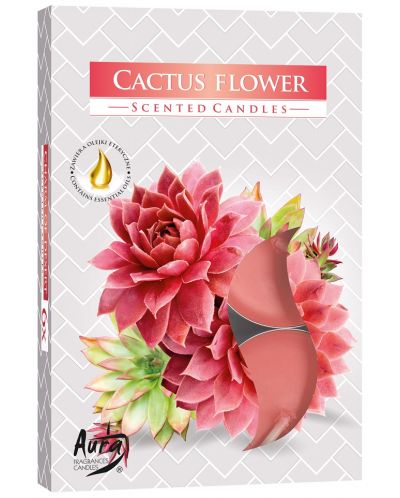 Bispol Aura - Cactus Flower, 6 bucăți - 1
