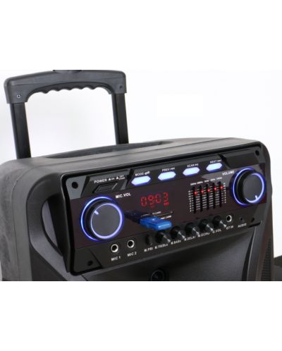 Sistem audio Elekom - EK-1305, negru - 2
