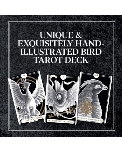 Avian Tarot (78 Cards and Guidebook) - 2