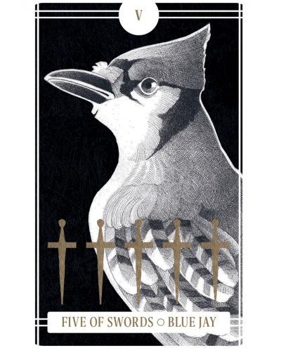 Avian Tarot (78 Cards and Guidebook) - 5
