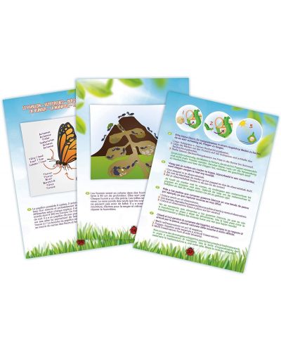 Set de cercetare Buki Nature - Cercetarea insectelor - 4