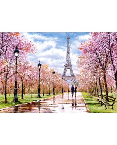 Puzzle Castorland de 1000 piese - Plimbare romantica in Paris, Richard Macneil - 2