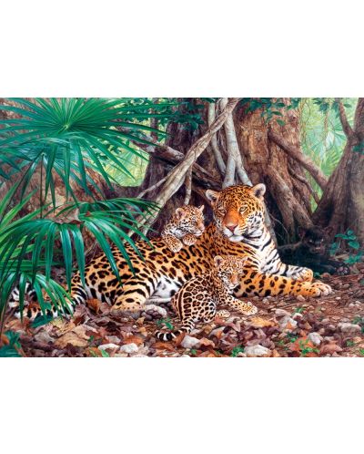Puzzle Castorland de 3000 piese - Jaguari in jungla - 2