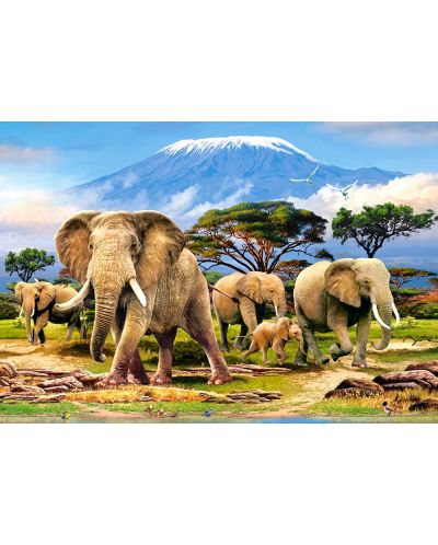Puzzle Castorland de 1000 piese - Kilimanjaro - 2