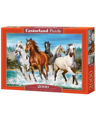 Puzzle Castorland de 2000 piese - Chemarea naturii - 1
