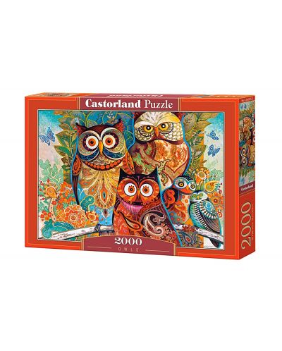 Puzzle Castorland de 2000 piese - Bufnite - 1
