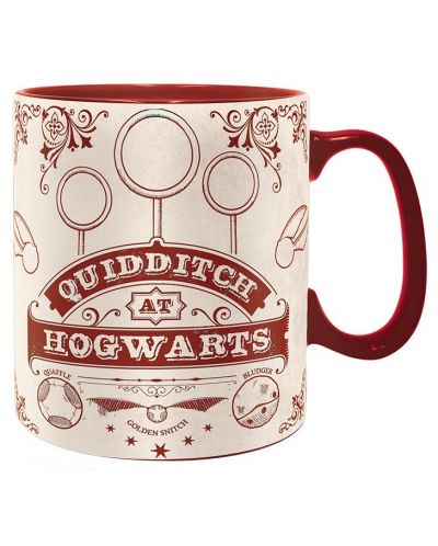 Cana Abysse Harry Potter - Quidditch - 1