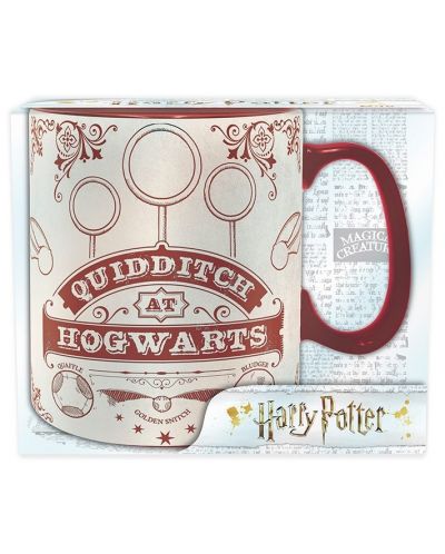 Cana Abysse Harry Potter - Quidditch - 3