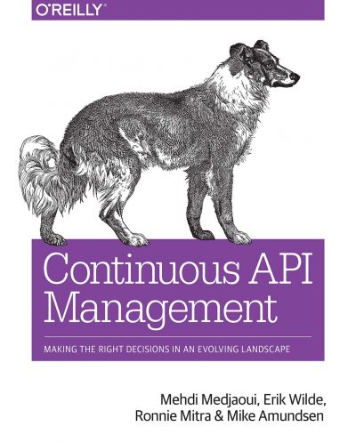 Continuous API Management - 1