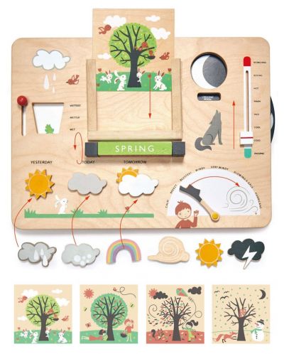 Tender Leaf Toys Wooden Educational Board - Micul meteorolog - 3